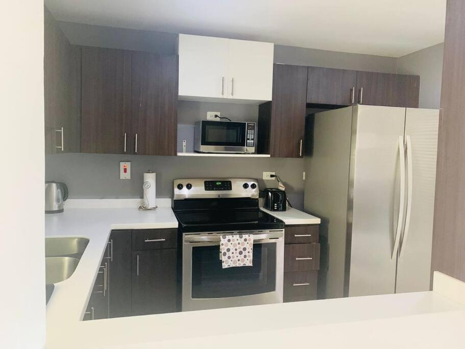 Odyssey On The 5Th - Exquisite Luxury Apt Kingston Exterior photo